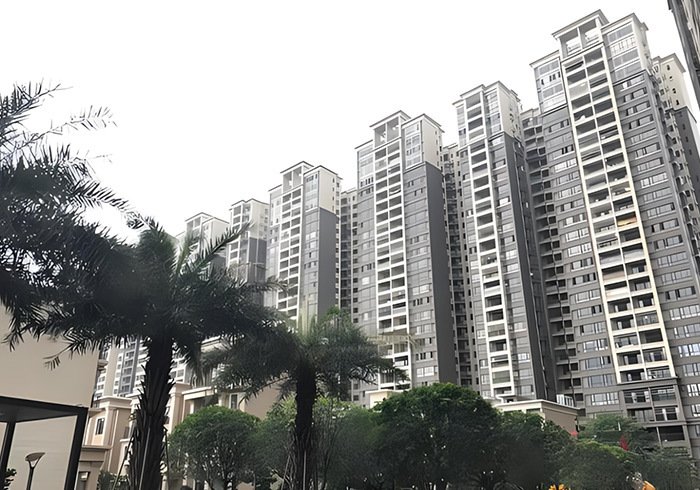 微信图片_20250411113553_82